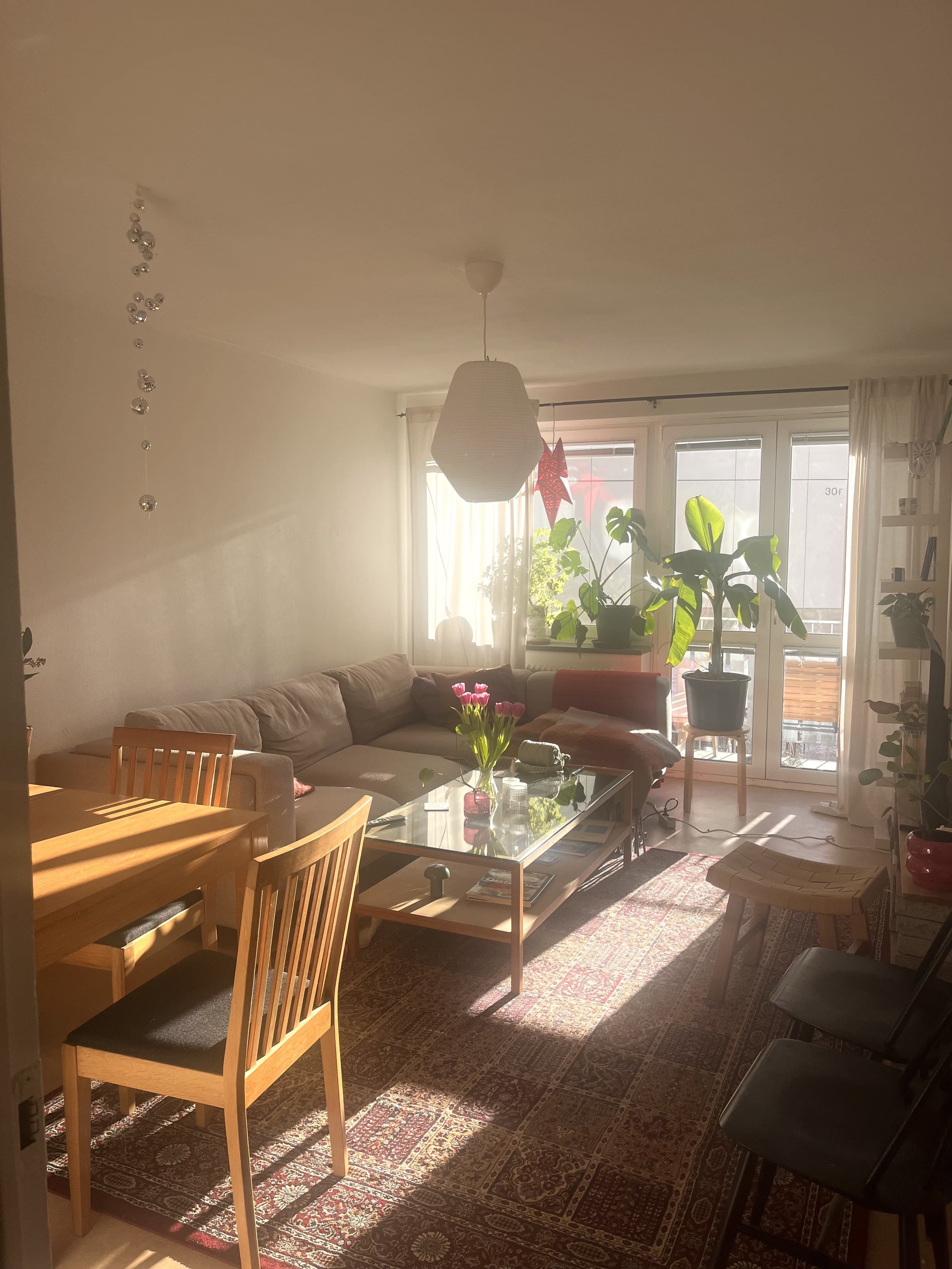 S:t Johannesgatan, Uppsala — photo 5