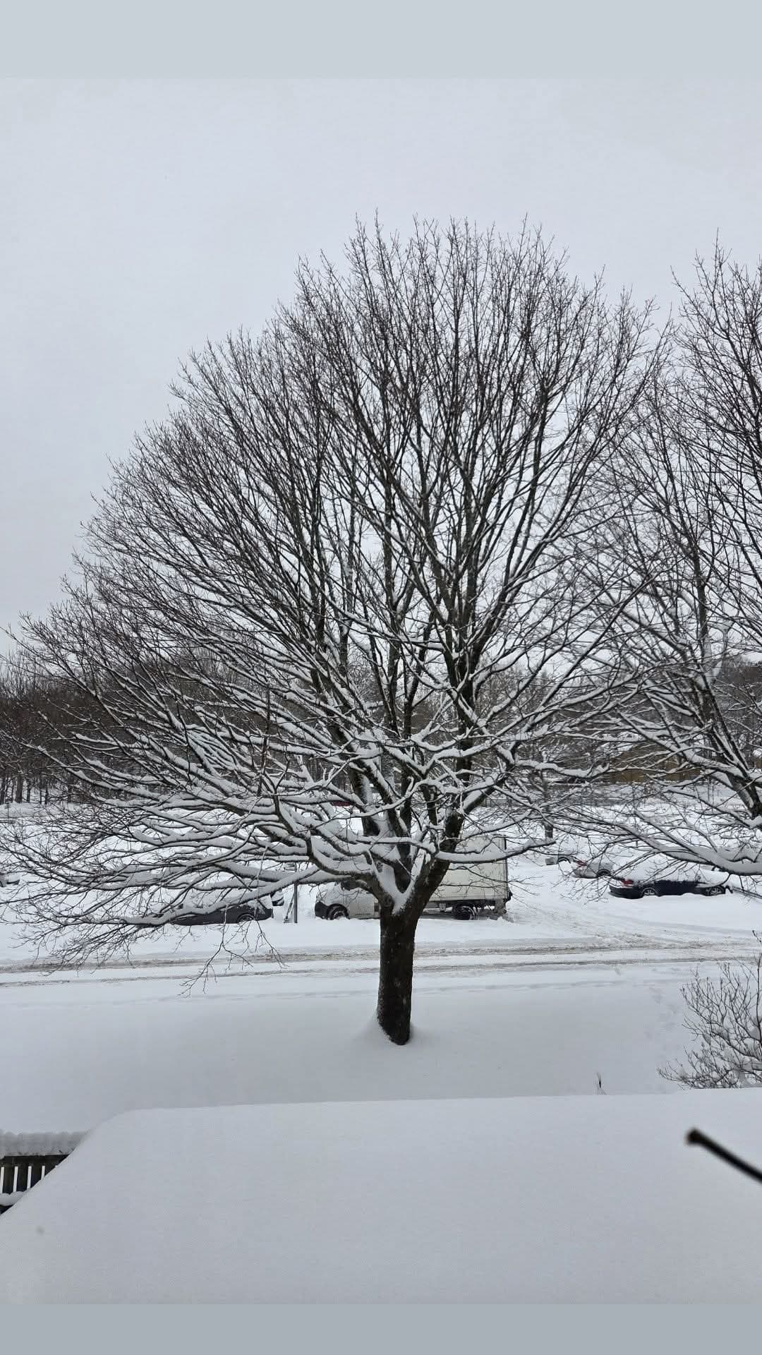 Fänkålsgatan, Göteborg — photo 2