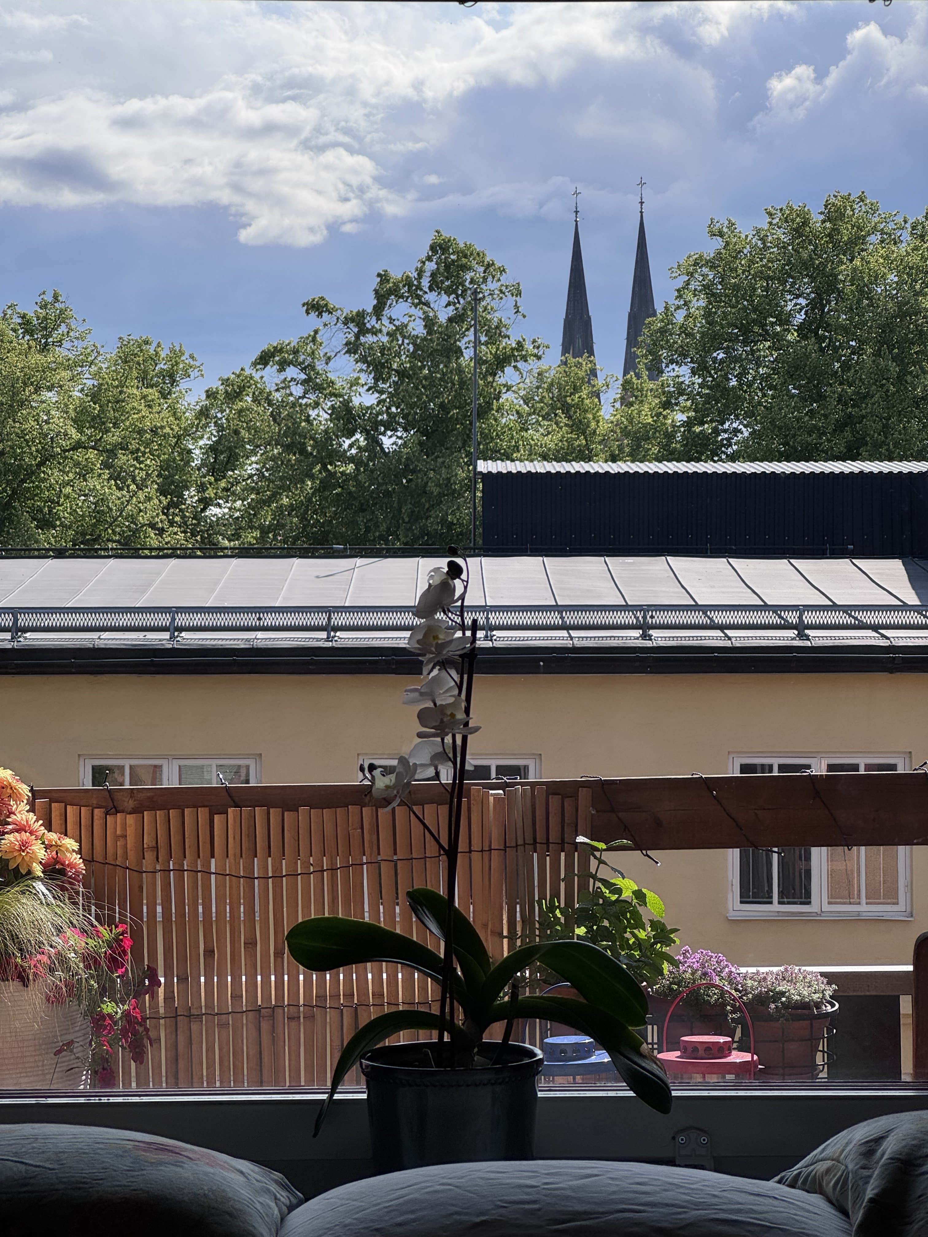 Storgatan, Uppsala — photo 4