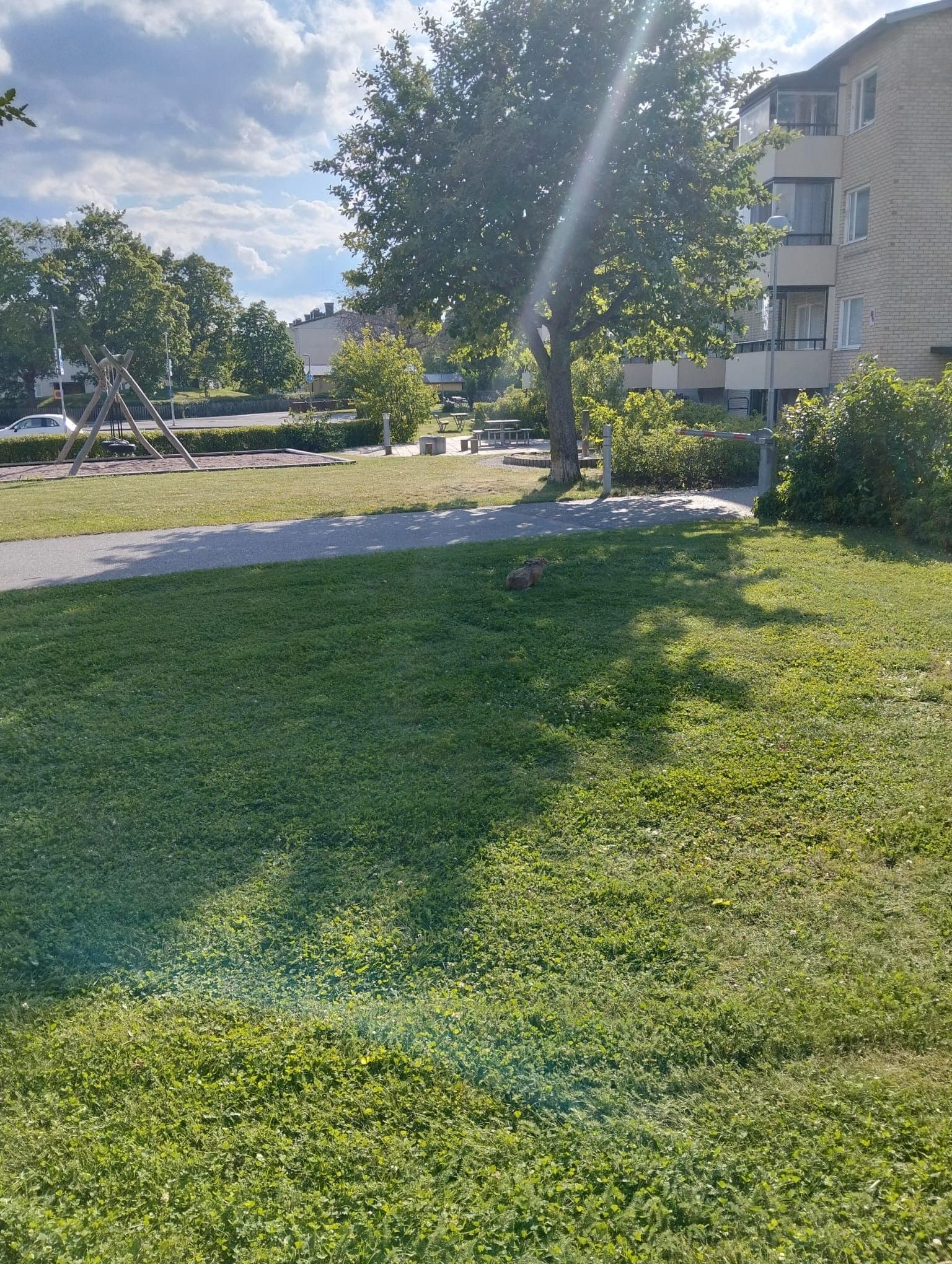 Dimgatan, Uppsala — photo 5