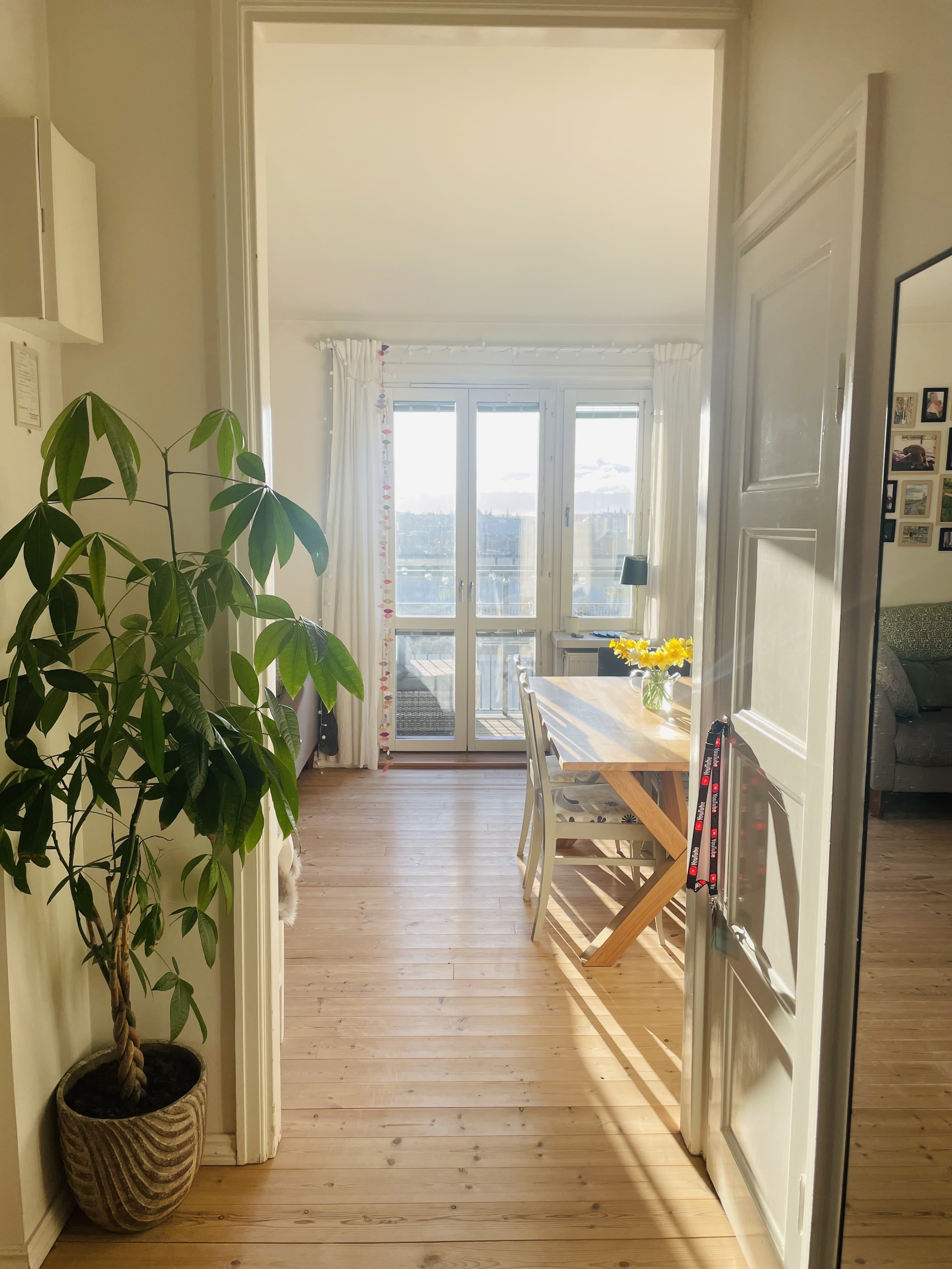 Ola Hanssonsgatan, Stockholm — photo 2