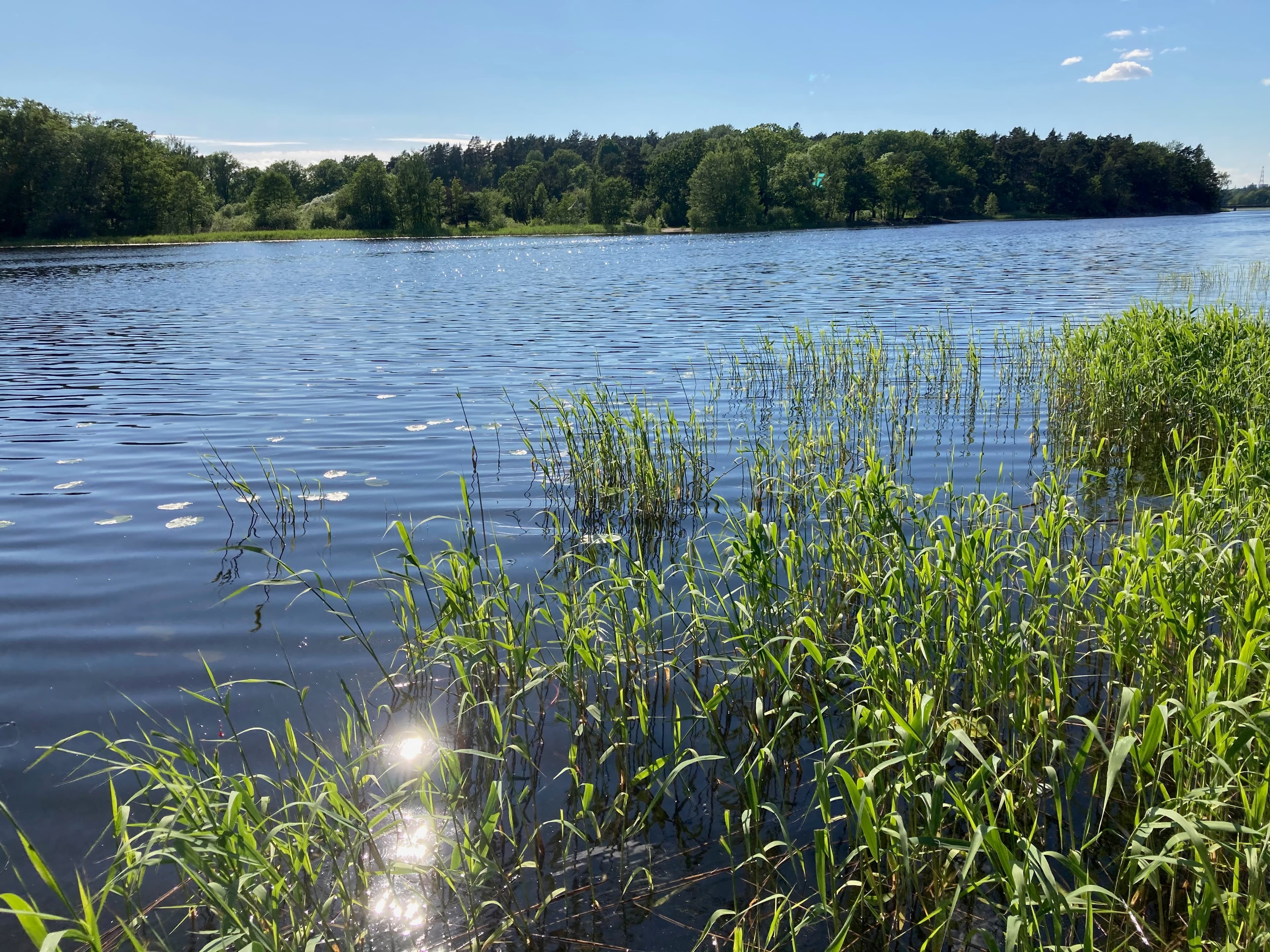 Forshagagatan, Farsta — photo 4