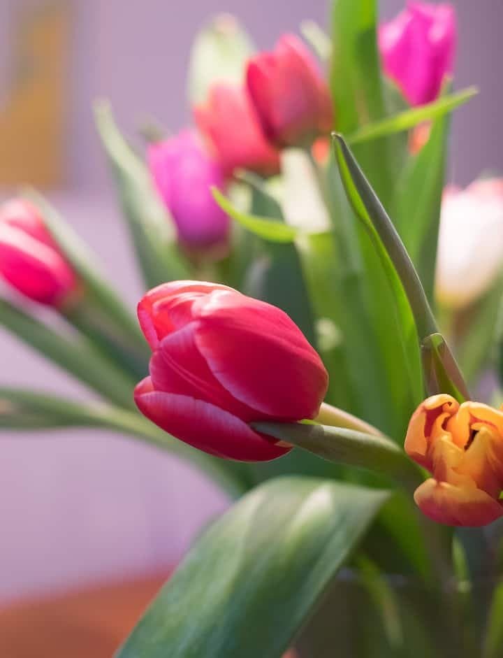 Tranebergsvägen, Bromma — photo 4