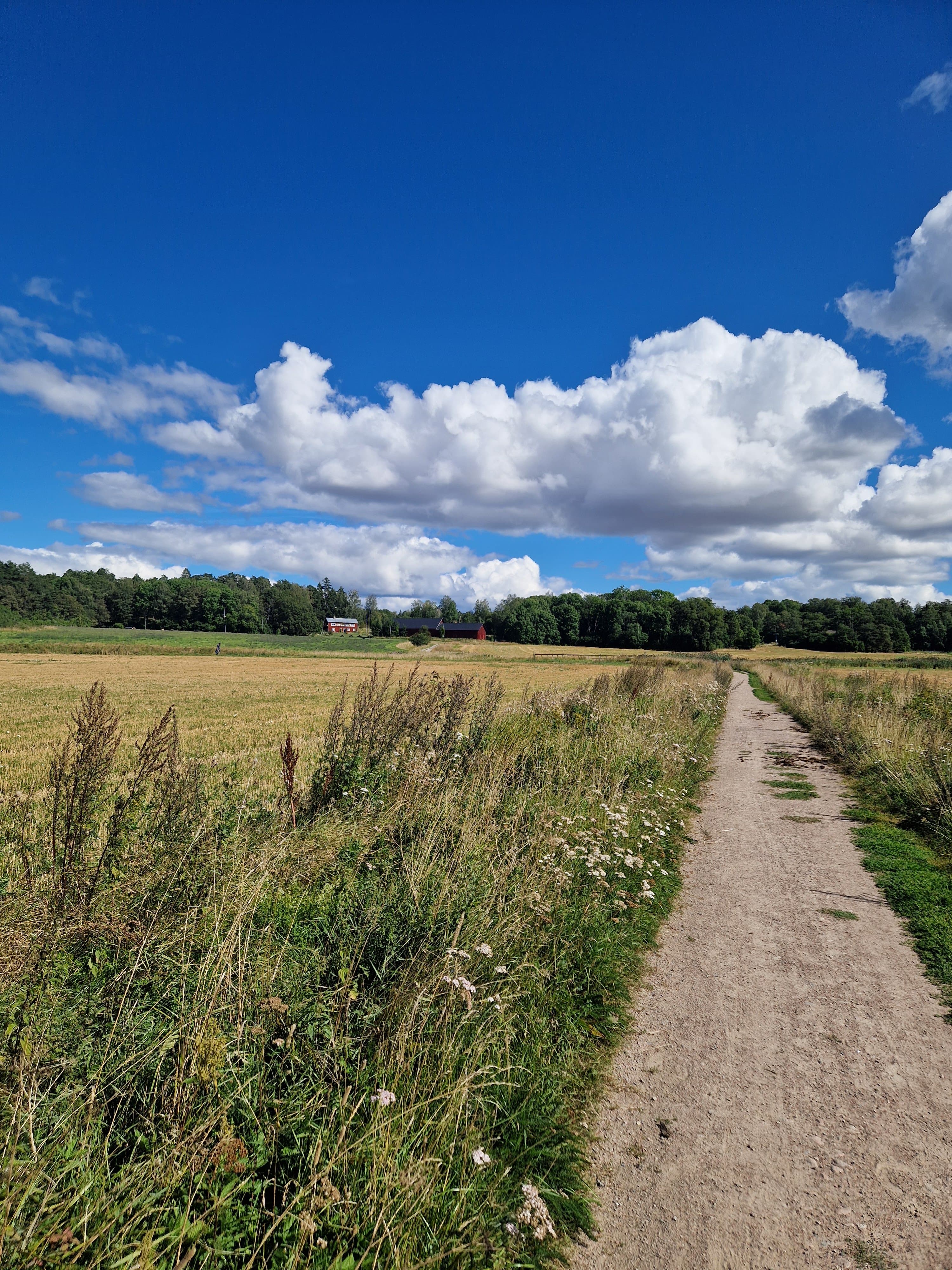 August Södermans väg, Uppsala — Uppsala