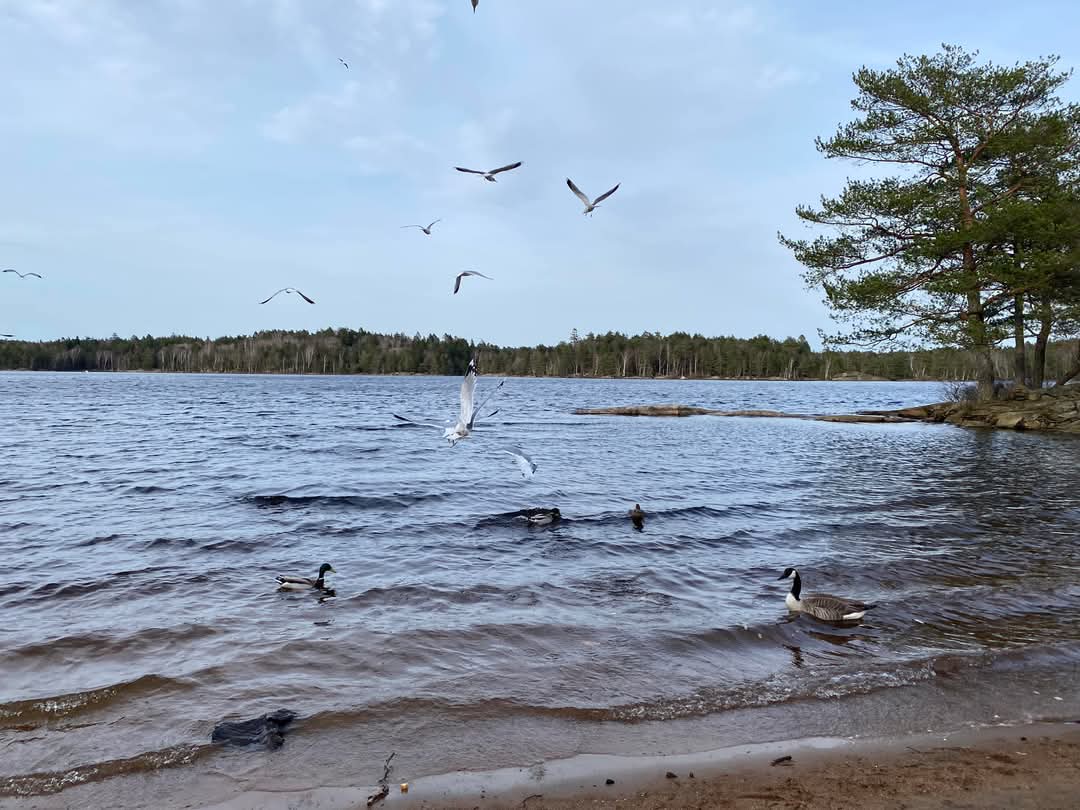 Fänkålsgatan, Göteborg