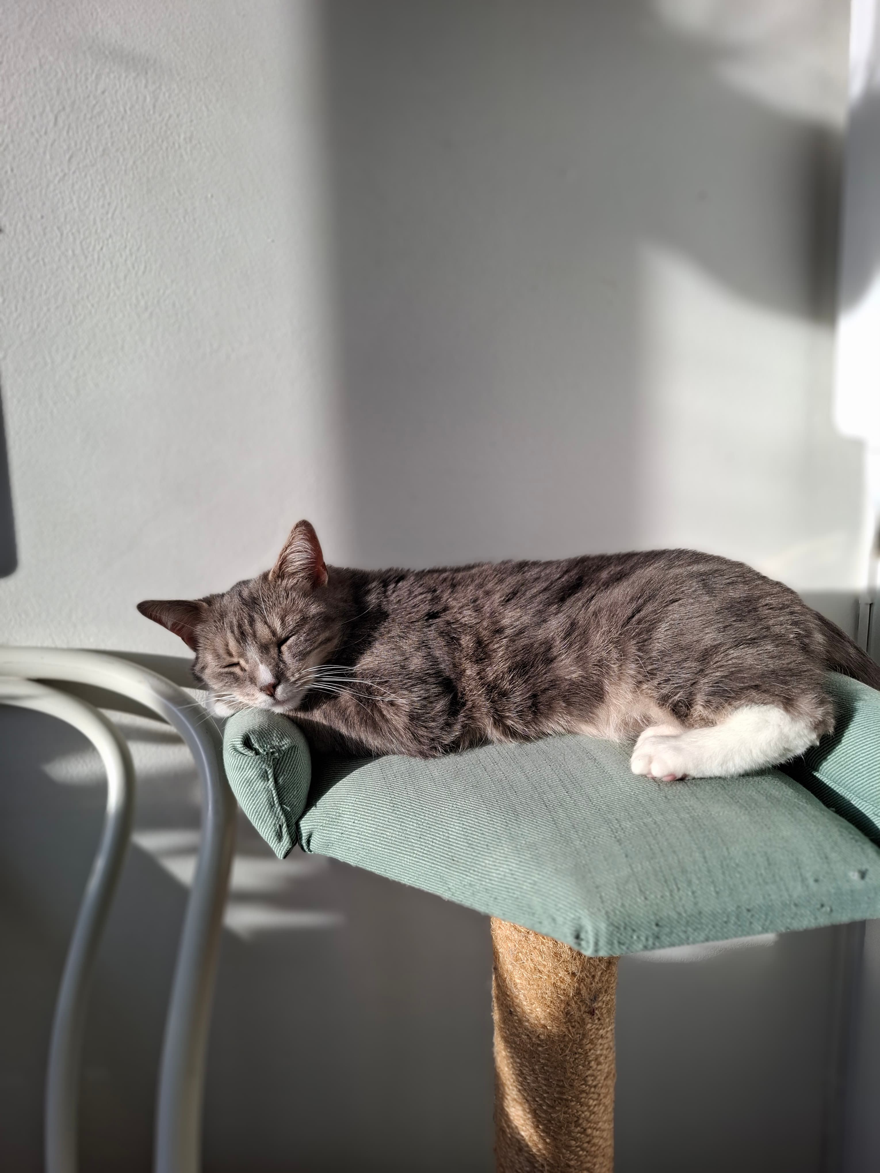 Blodstensvägen, Uppsala — photo 3