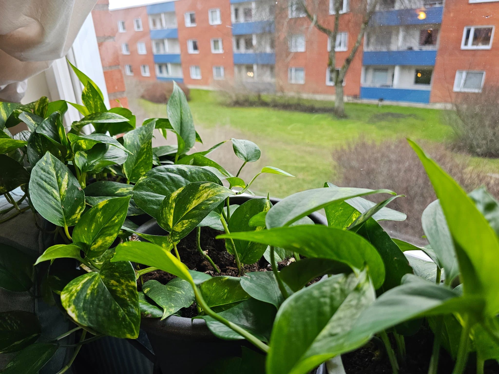 Flogstavägen, Uppsala — photo 3