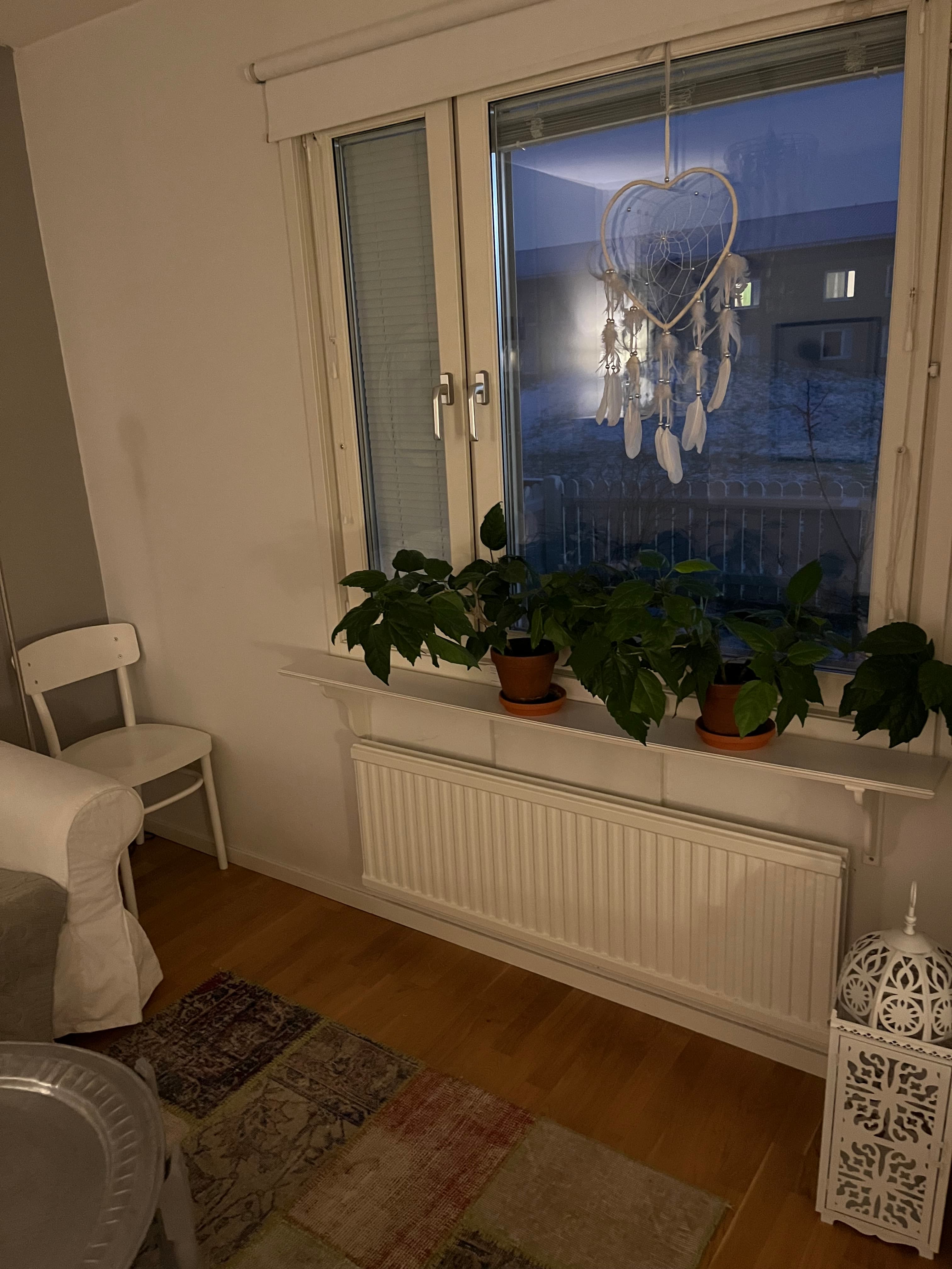 Fredrika Bremersgatan, Uppsala — photo 5