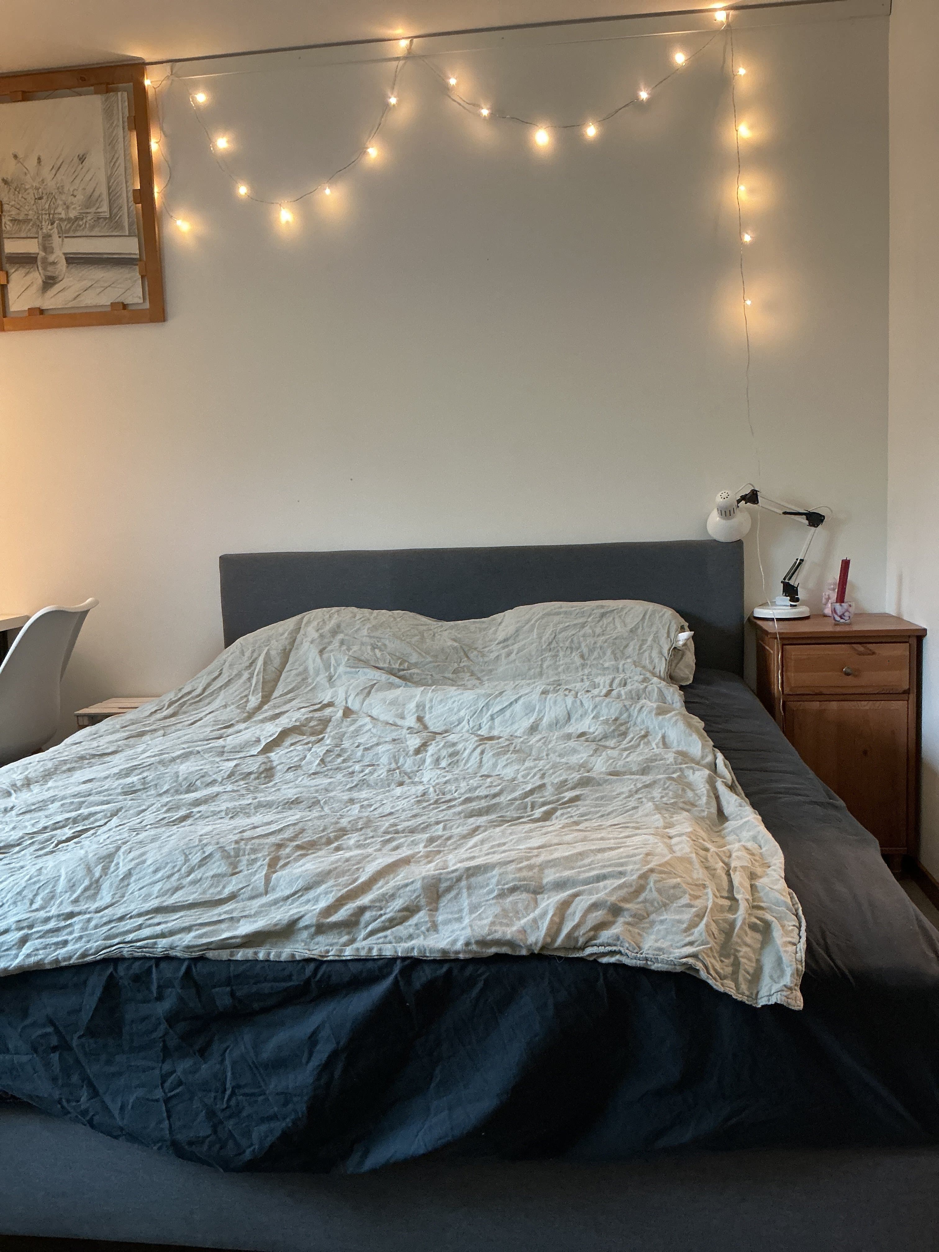 Luthagsesplanaden, Uppsala — photo 2